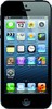 Apple iPhone 5 16GB - Ивантеевка